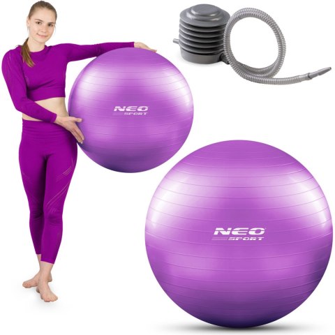 Piłka do ćwiczeń 65 cm NS-951 fioletowa Piłka do ćwiczeń 65 cm NS-951 fioletowa
